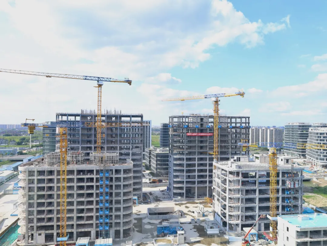 同心同向 造炬成阳 | 创世大发2024年第三季度动态速览